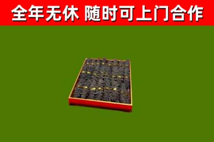 诏安县回收海参